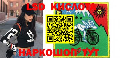 ПСИЛОЦИБИНОВЫЕ ГРИБЫ Камышлов
