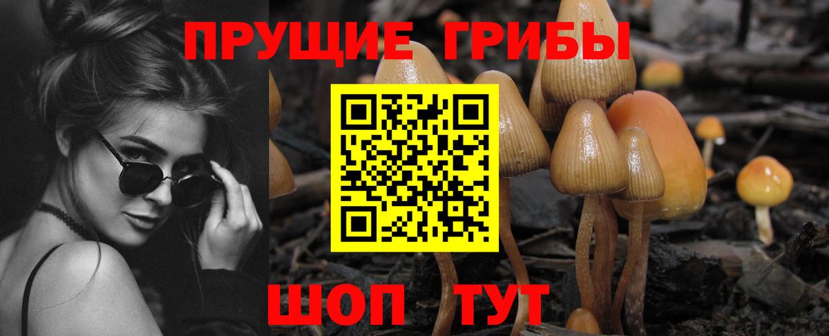 Псилоцибиновые грибы ЛСД Нарьян-Мар
